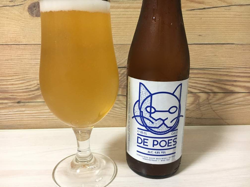【ベルギービール】猫のラガー瓶